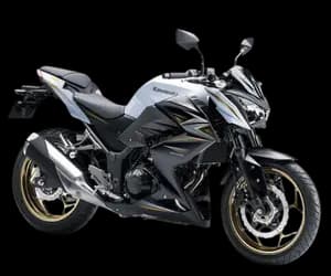 Kawasaki Z300 — T-MOTOR